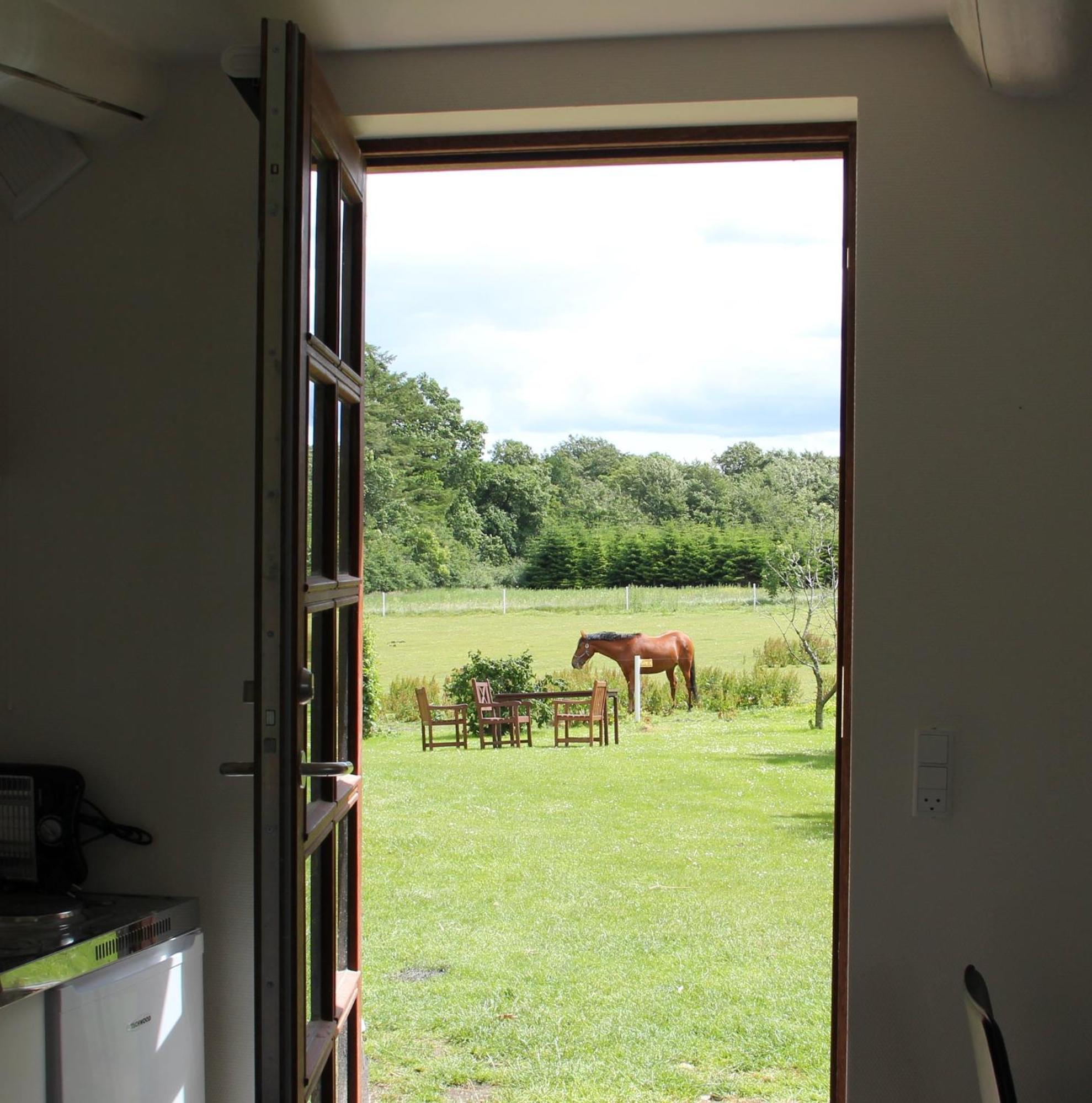 Munkebjerg Bed & Breakfast Borkop Ruang foto