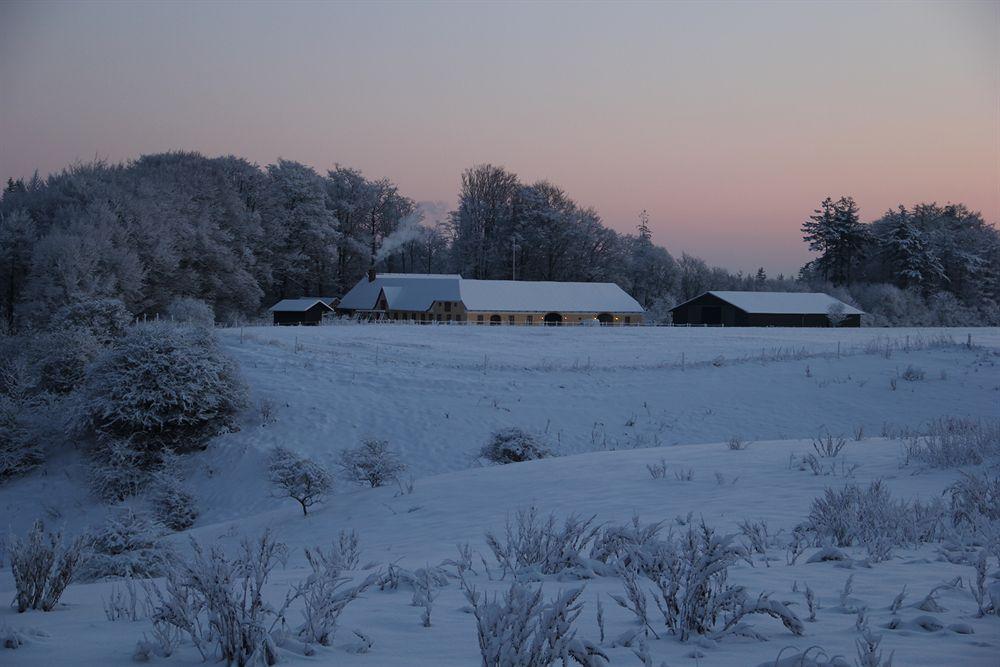 Munkebjerg Bed & Breakfast Borkop Bagian luar foto