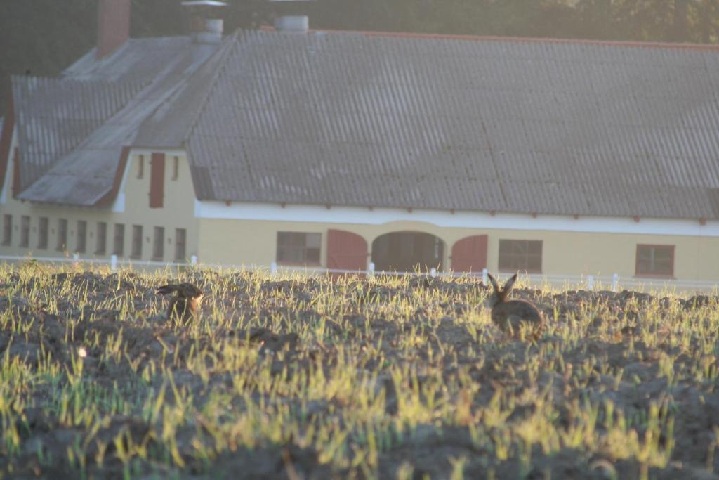 Munkebjerg Bed & Breakfast Borkop Bagian luar foto