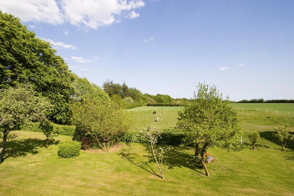 Munkebjerg Bed & Breakfast Borkop Bagian luar foto