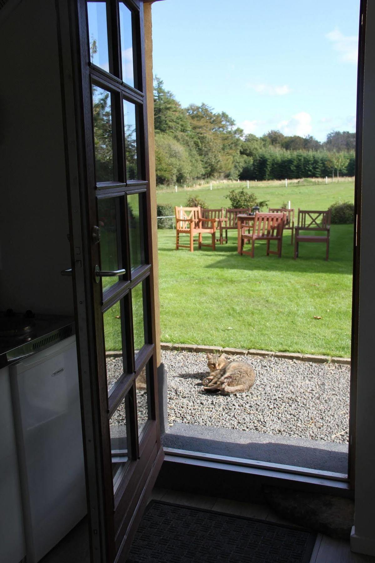 Munkebjerg Bed & Breakfast Borkop Bagian luar foto