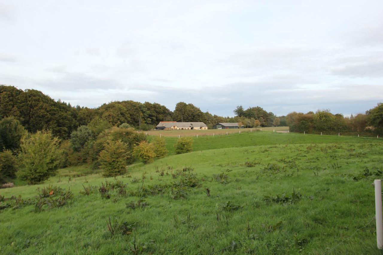 Munkebjerg Bed & Breakfast Borkop Bagian luar foto